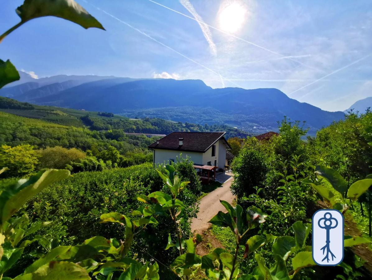 Casa Vacanze Antico Eremo, Tra Natura E Tradizione Campodenno Eksteriør bilde